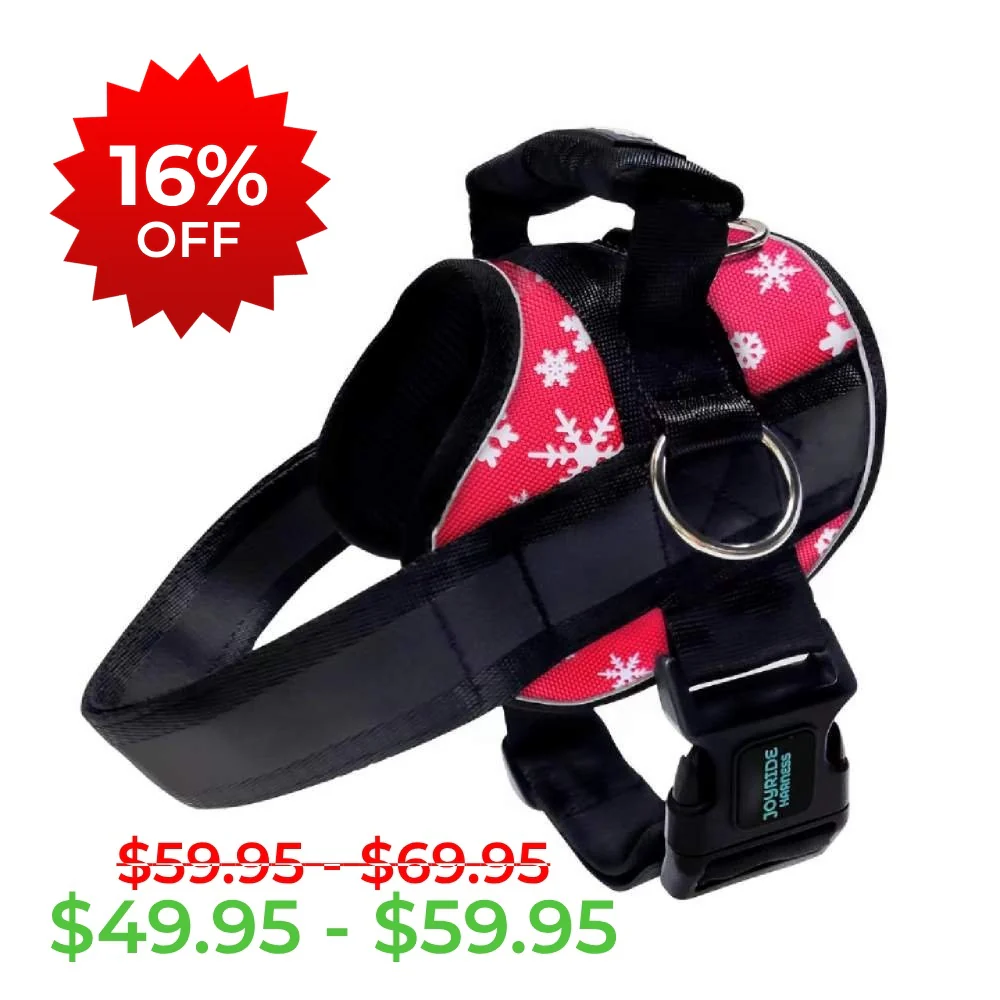 Dog Harness Clearance Sale